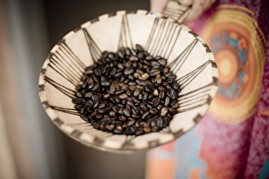 Ethiopia Prints: Coffee beans, Omo Valley, Ethiopia, Africa
