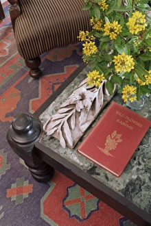 Ornament Prints: Detail of coffee table surface and a fine piece of