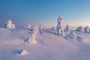 Cold arctic sunrise over frozen spruce trees covered with snow, aerial view, Riisitunturi National Park, Posio, Lapland, Finland, Europe