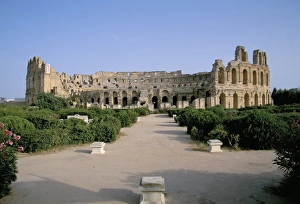 Colosseum Prints: The Collosseum