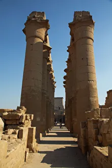 Colonnade Prints: Colonnade of Amenhotep III, Luxor Temple