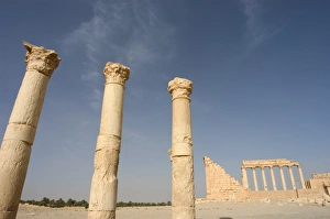 Syrian Prints: Colonnades