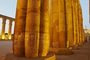 Images Dated 19th December 2011: Colonnades, pillars of stone, Temple of Luxor, Thebes, UNESCO World Heritage Site, Egypt