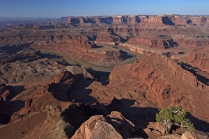 Sand Stone Prints: Colorado River from Dead Horse Point Overlook