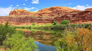 Shrubs Prints: Colorado River flows along rocky cliffs with trees reflecting on still water near Banff