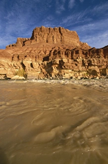 Images Dated 27th November 2007: Colorado River, Glen Canyon Recreation Area, Arizona, United States of America