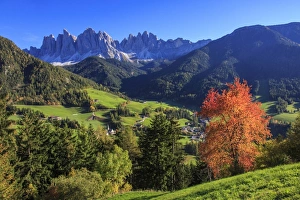 Colorful autumn trees frame the group of Odle and the village of St. Magdalena, Funes Valley