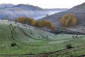 Freshness Prints: Colorful autumn trees stand on hills in Romania during early morning light as fog rolls through the valley