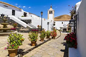 Potted Plant Prints: Colorful flowers framing Santa Maria cathedral church in the old town of Betancuria