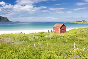 Colorful flowers on green meadows frame the typical rorbu surrounded by turquoise sea