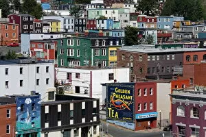 Images Dated 23rd January 2000: Colorful houses in St. Johns City, Newfoundland, Canada, North America