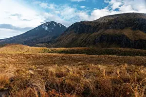 Australasia Prints: Colorful scrub fields in front of Ngauruhoe Volcano and Pukekaikiore in Tongariro National Park