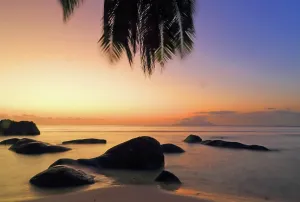 Silhouettes Prints: Colorful sunset at Beau Vallon Beach with rocks and palm trees near the water in Seychelles