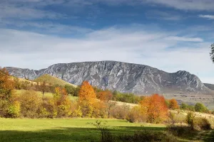 Mountainous Prints: Colorful trees change during autumn in Romania showcasing nature's beauty with hills in the background