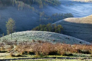 Romania Prints: Colorful trees cover a hillside in autumn with morning mist in Romania's rural landscape
