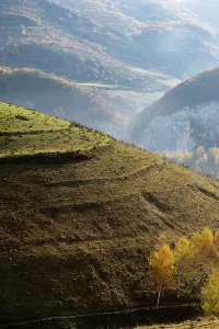 Romania Prints: Colorful trees and hills in autumn landscape create a stunning view of nature in Romania's countryside