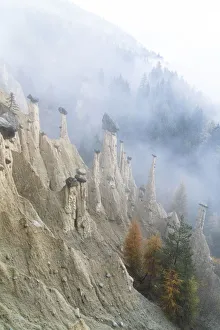 Colorful trees on rocks of the Earth Pyramids in autumn, Perca (Percha)