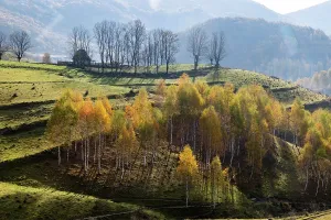 Romania Prints: Colorful trees and rolling hills show the beauty of autumn in Romania