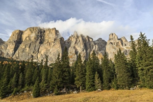 Fassa Valley Prints: Colorful woods in autumn at Sella Pass, Fassa Valley, Trentino-Alto Adige, Dolomites