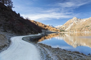 Lake Sils Prints: The colorful woods reflected in Lake Sils in the fall, Isola, Maloja, Canton of Graubunden