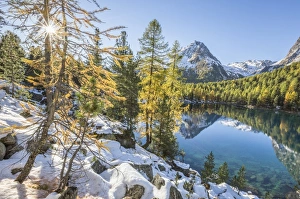 Colorful woods and snowy peaks reflected in Lake Saoseo, Poschiavo Valley, Canton of Grauunden