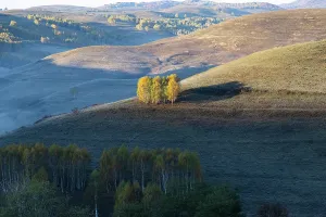 Romania Prints: Colors of autumn fill the hills with vibrant trees