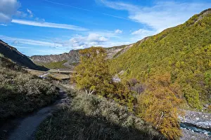 Trail Prints: Colors of autumn in a valley with sunlight and trees near Mount Elbrus in Russia during the fall season