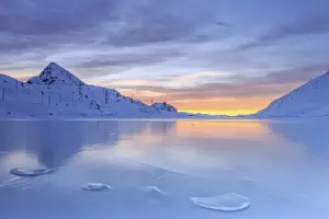 Lago Bianco Prints: The colors of dawn invading the smooth surface of Lago Bianco exceptionally icy