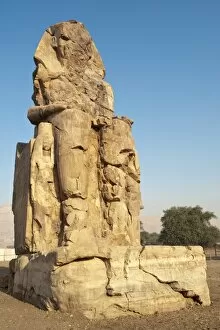 Colossi of Memnon, Thebes, UNESCO World Heritage Site, Egypt, North Africa, Africa
