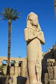 Images Dated 17th December 2011: Colossus of Rameses II, Temple of Amun, Karnak, Thebes, UNESCO World Heritage Site, Egypt