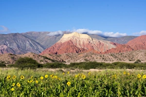 Helianthus Prints: Coloured mountains, Salta district, Argentina, South America