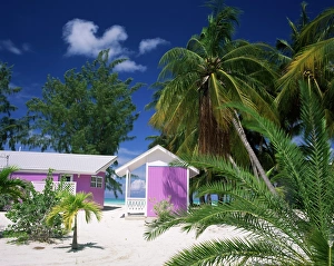 Cayman Islands Prints: Colourful beach hut beneath palm trees, Rum Point, Grand Cayman, Cayman Islands