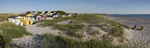 Colourful beach huts in sand dunes, Skanor Falsterbo, Falsterbo Peninsula, Skane
