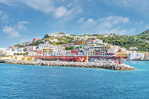 Latina Province Prints: Colourful buildings surrounding the harbour of the fishing village of Ponza on a summer day