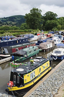 Water Ways Prints: Colourful canal boats, Crickhowell, Gwent, Wales, United Kingdom, Europe