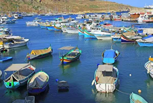Fishing Net Prints: Colourful fishing boats in the harbour at port of Mgarr