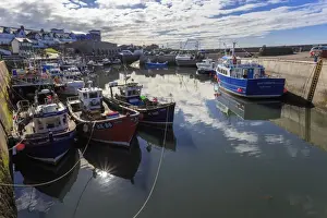 Colourful fishing boats in harbour and village beyond on a sunny summer evening, Seahouses