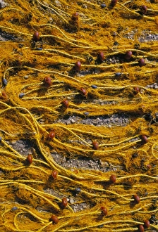 Karpathos Prints: Colourful fishing nets