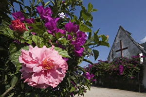 Images Dated 1st February 2005: Colourful flowers and church in the Pastaza River valley, near the town of Banos