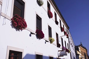 Window Boxes Prints: Colourful flowers on facade of hotel, Olomouc, Moravia, Czech Republic, Europe