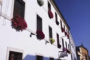 Images Dated 5th August 2009: Colourful flowers on facade of hotel, Olomouc, Moravia, Czech Republic, Europe