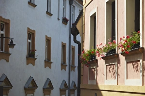 Olomouc Prints: Colourful flowers on window sills, Olomouc, Moravia, Czech Republic, Europe