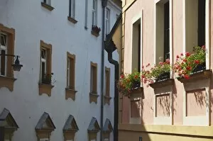 Colourful flowers on window sills, Olomouc, Moravia, Czech Republic, Europe