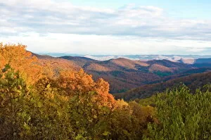 Images Dated 4th November 2008: Colourful foliage in the Indian summer, Blue Ridge Mountain Parkway, North Carolina