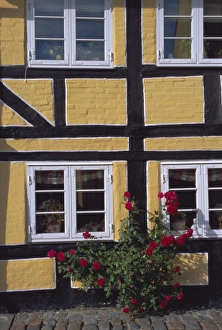 Aero Prints: Colourful houses, Aeroskobing, island of Aero, Denmark, Scandinavia, Europe