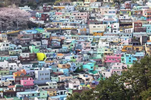 Tourist Spot Prints: Colourful houses of Gamcheon Culture Village, Busan, South Korea, Asia