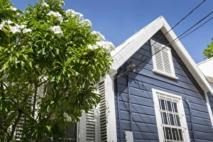 Barbados Prints: Colourful houses, Holetown, St. James, Barbados, West Indies, Caribbean, Central America