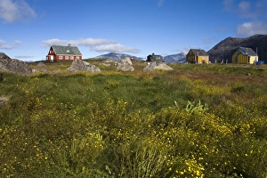 Images Dated 23rd January 2000: Colourful houses, Port of Nanortalik, Island of Qoornoq, Province of Kitaa