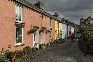 Potted Plant Prints: Colourful houses on Water Street in this old former shipbuilding coastal village