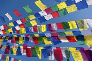 Search Results: Colourful prayer flags against clear blue sky at Bodhnath Stupa (Boudhanth) (Boudha)